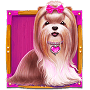 Dog in pink box Dog in pink box