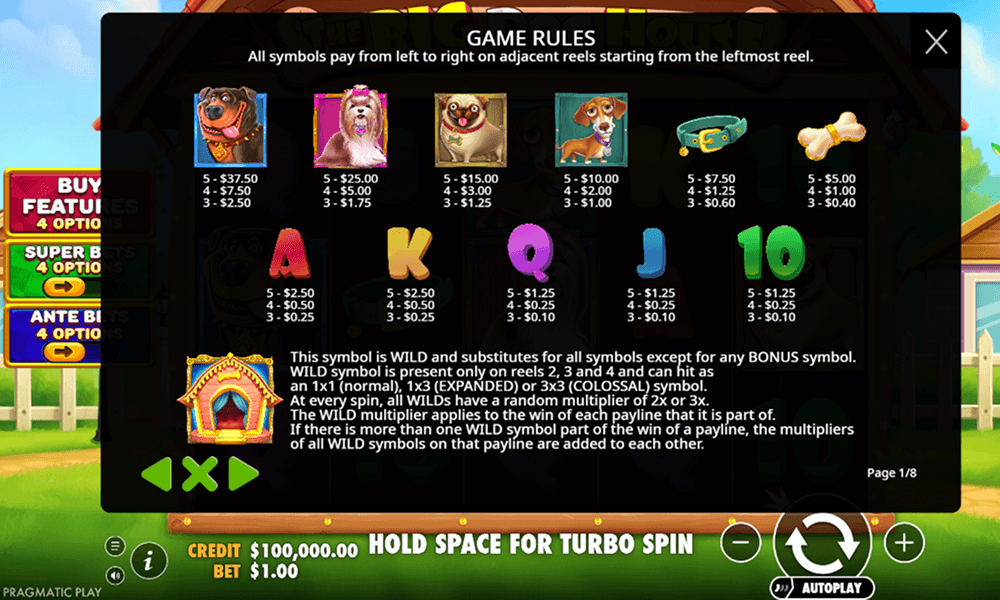 Bet selection in The Big Dog House Bet selection in The Big Dog House